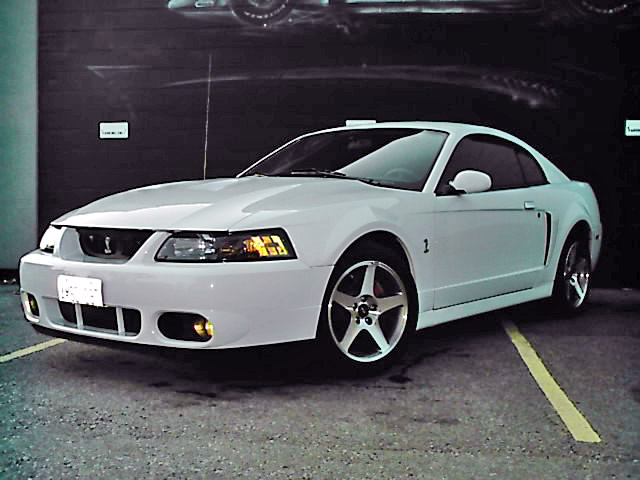 2003 Ford Mustang Svt Cobra. 2003 Ford Mustang SVT Cobra