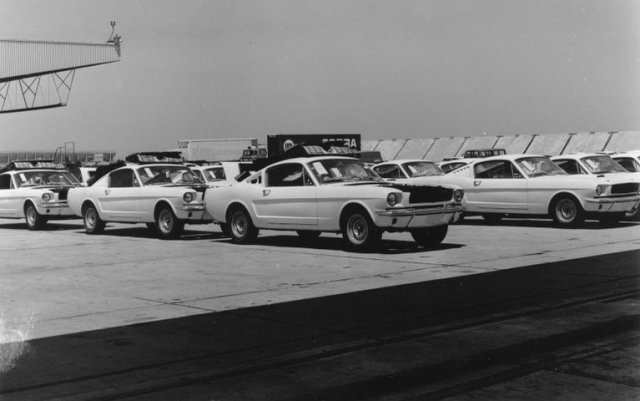 Shelby Lot