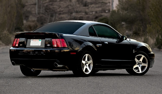 2003 2004 Ford Mustang Svt Cobra The Terminator The